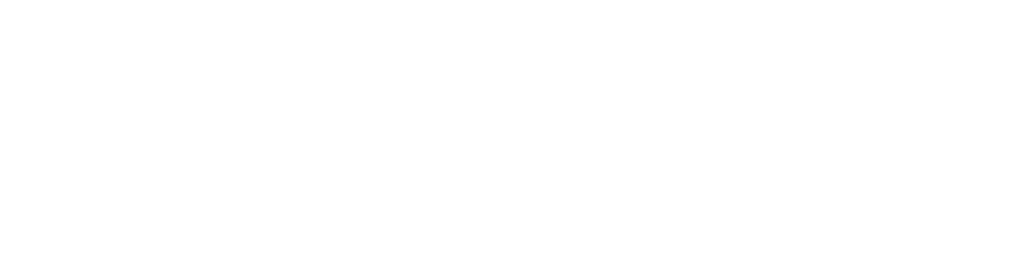 Media System Logo